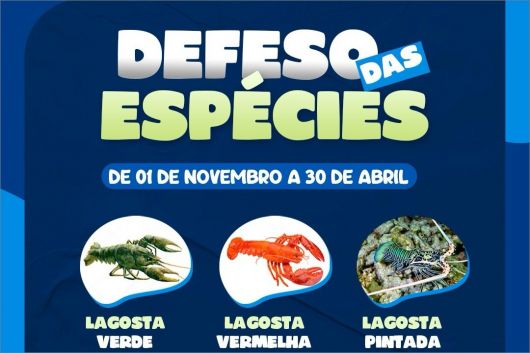Foto: Ascom/ Prefeitura de Porto Seguro