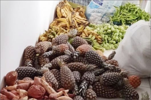 Foto: A Gazeta Bahia