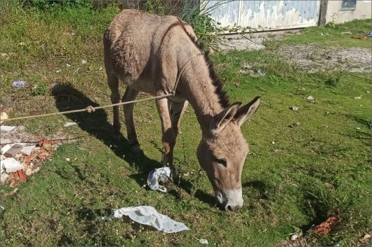 Foto: A Gazeta Bahia